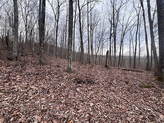 4th image of LOT 62 Apache Rd