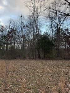 0 County Road 517, Englewood, TN, 37329