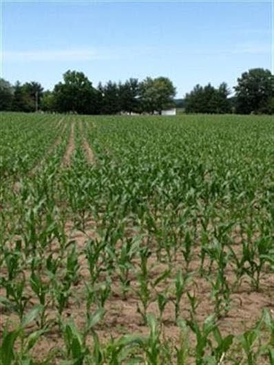 2nd image of 58304 County Road 23