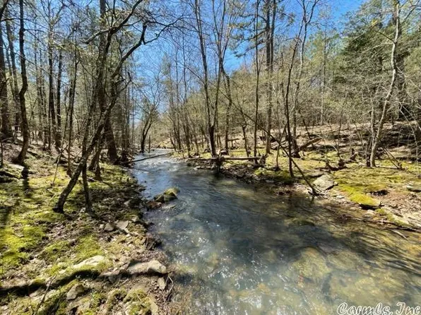 1712 The New Rd, Shirley, AR 72153