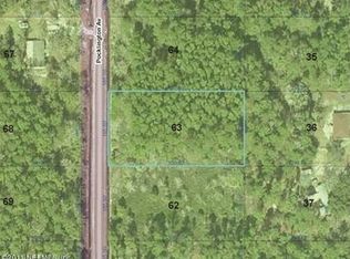 9620 Pocklington Ave, Hastings, FL 32145