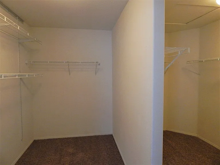 29391 Owl Creek Ct — Photo 16