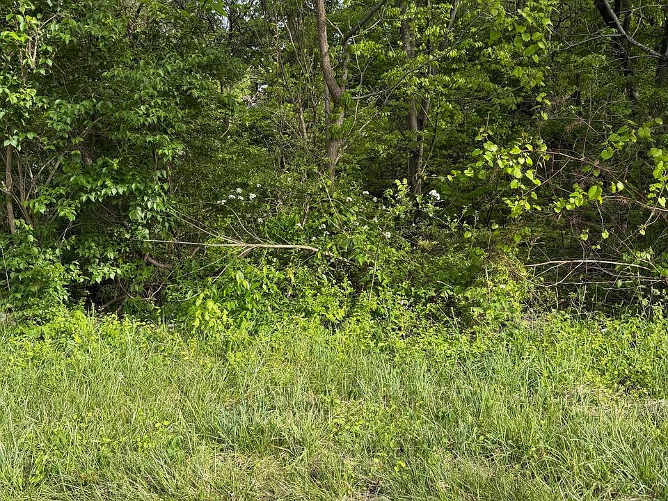 2nd image of 1725 Reedy Creek Rd