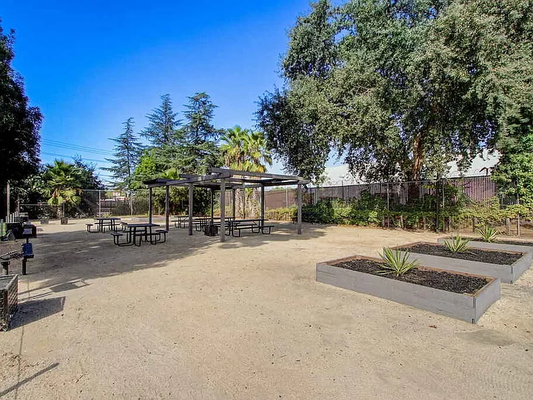 Gold Ridge Picnic Space