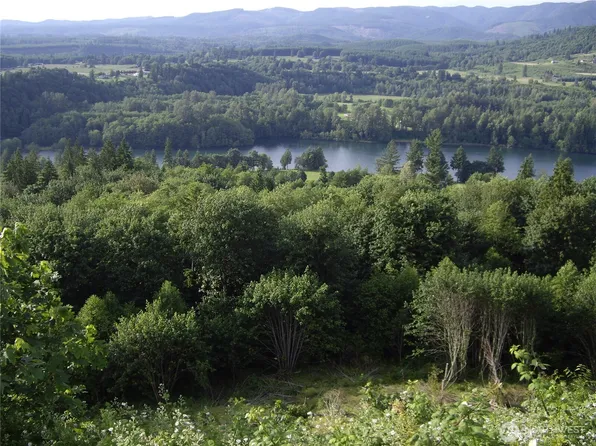 2 Birley Rd, Mossyrock, WA 98564