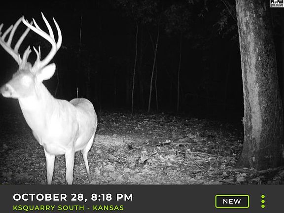 4th image of 5020 N Table Mound Rd