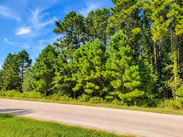 1307 County Road 3479j Lot 17, Cleveland, TX 77327