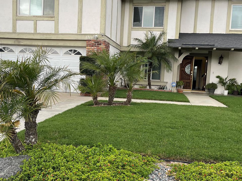 Big beautiful front yard