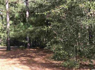 Highway 917, Nichols, SC 29581