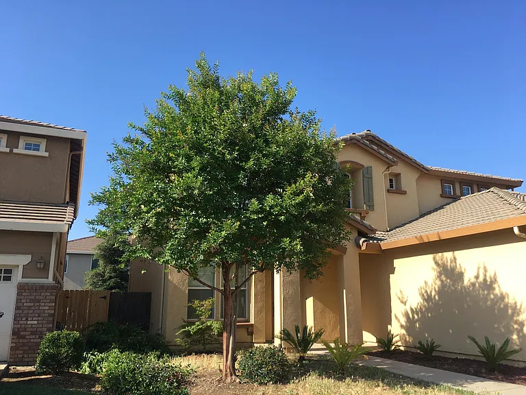 7087 E Fedora Ave — Photo 19