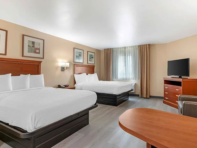 Studio Suite - 2 Full Beds