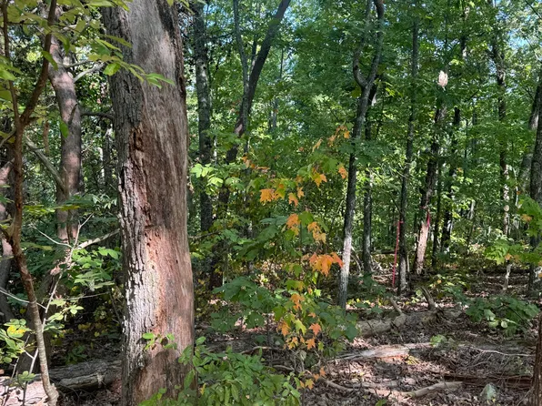 0 Ballplay School Rd, Tellico Plains, TN 37385