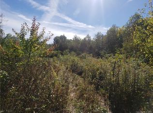 45 Spicewood Rd #11, Weaverville, NC 28787