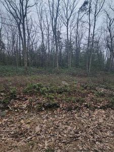 321-323 Bennett Road, Napanoch, NY, 12458