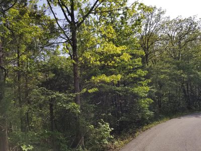 00 1.47 Acres On Greenbriar St., Gainesville, MO, 65655
