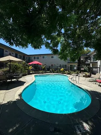 981 Bonita Ave #1 — Photo 18
