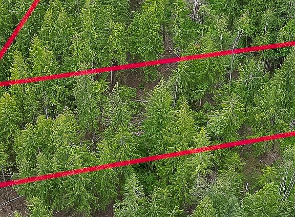 2nd image of 125 Timberlane Rd