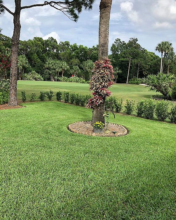 Back yard golf course view