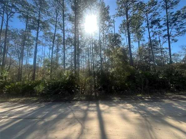 Scott Cir #17, Interlachen, FL 32148