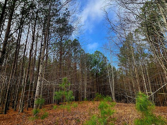 5th image of 1560 Thunder Ridge Dr #48
