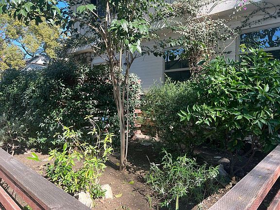 Majority of windows look on to mature garden.