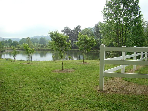 Fruit trees & lake view