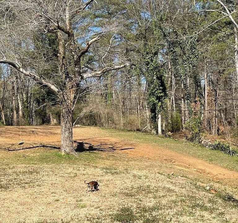 2nd image of 4768 Trussville Clay Rd #3