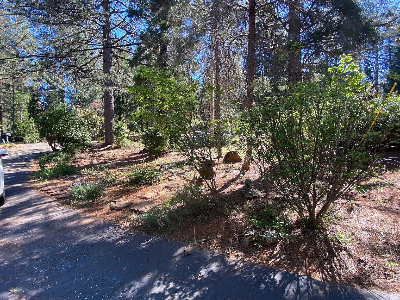 10959 Alta Sierra Drive - 1 — Photo 4
