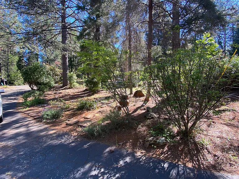 10959 Alta Sierra Dr — Photo 4