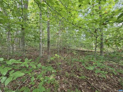 230 Beech Nut Dr, Louisa, VA, 23093