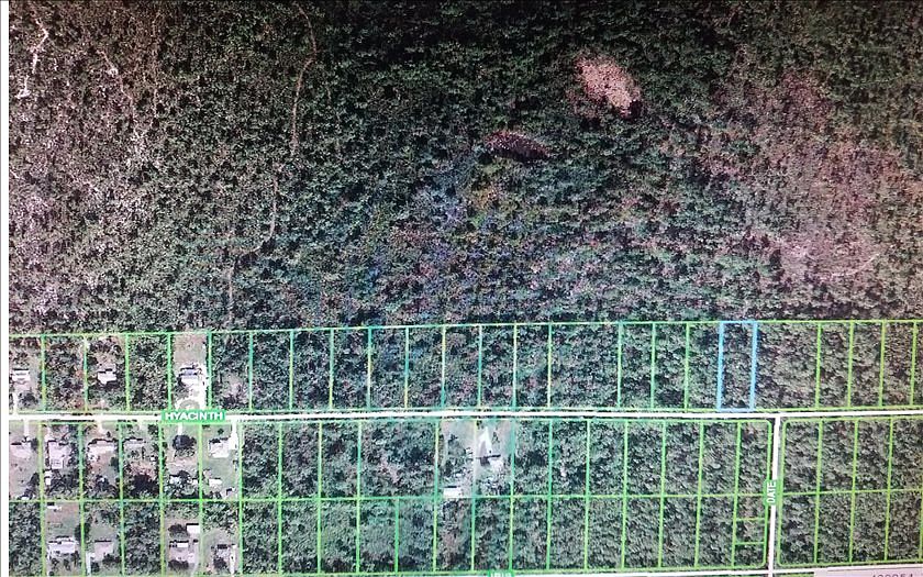 2nd image of 1008 Hyacinth Ave