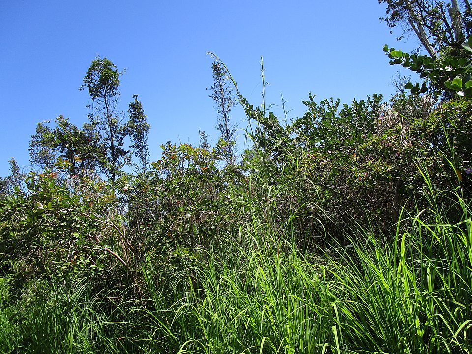 2nd image of 11th Ave Lot 1551