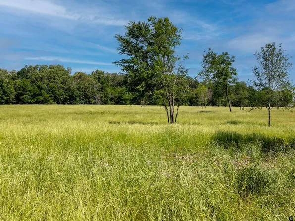 4 Vz County Road 1805, Grand Saline, TX 75140