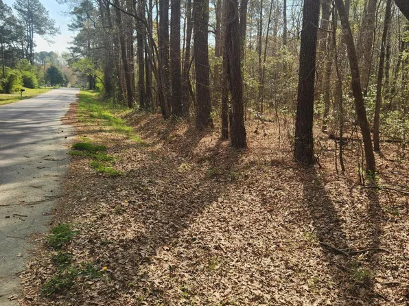 Lot 27 Peed Road, Chocowinity, NC 27817
