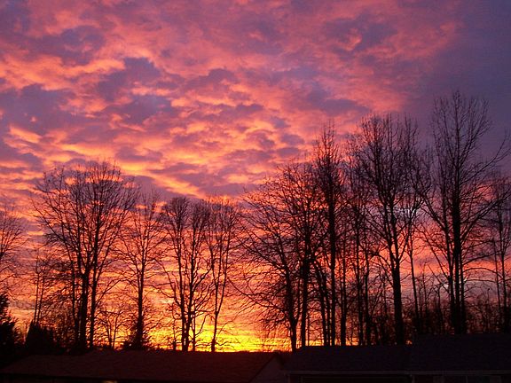 View of sunset from front porch.