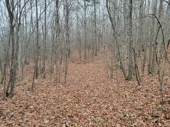 0 White Oak Ln, New Castle, VA 24127