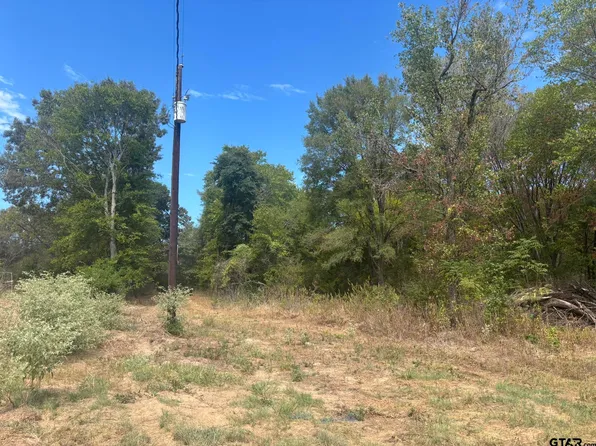 County Road 2222, Pittsburg, TX 75686