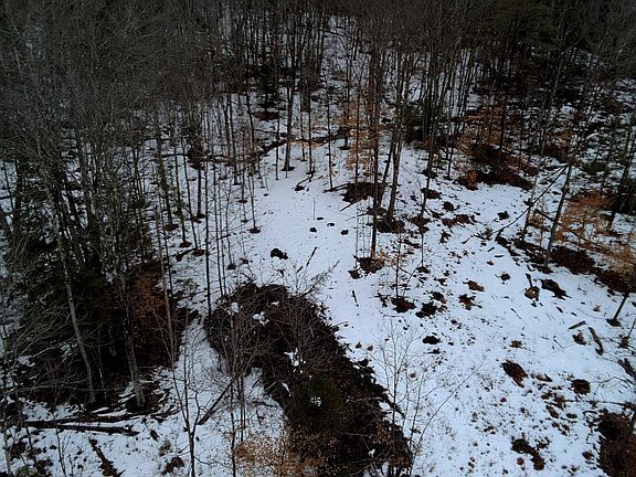 5th image of 38 Walker Road