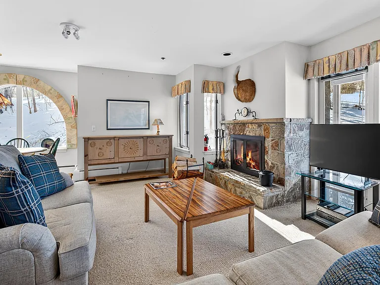 790 Stratton Mountain Access Rd — Photo 4