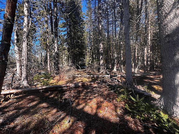 4th image of 1148 Cape Rosier Road