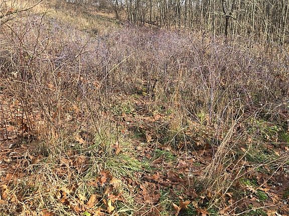 2nd image of 9284 Briar Rd