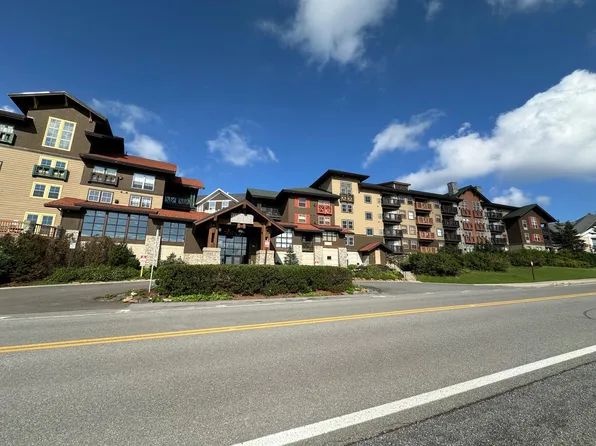 256 Rimfire Ldg, Snowshoe, WV 26209