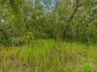 0 Maybird Ave, Brooksville, FL 34613