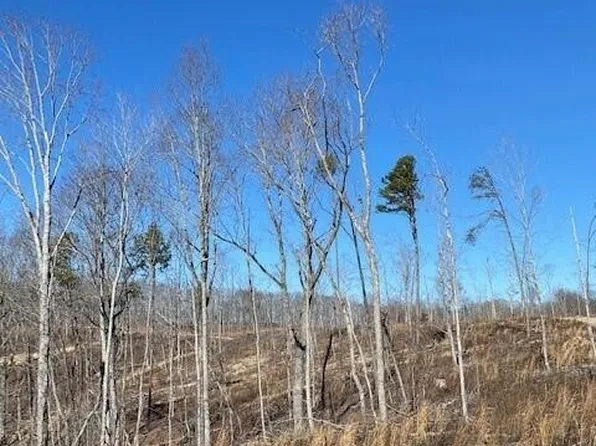 14 River Rd Lot 14, Decatur, TN 37322