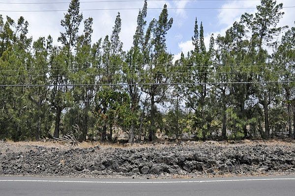  View into the middle of Lot 4 from across Mamalahoa Hwy.