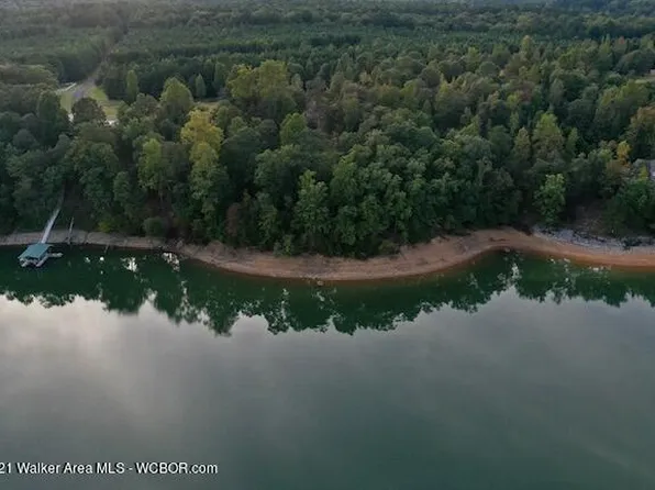 2 Eagle Pointe Cir, Double Springs, AL 35553