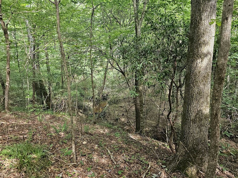 This flat next to the creek is suitable for camping.