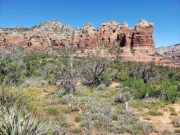 Hiking trail near home
