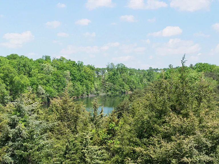 174 Trout Lily Dr — Photo 19