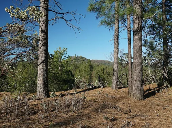 660 Chief Kelly Dr, Nevada City, CA 95959